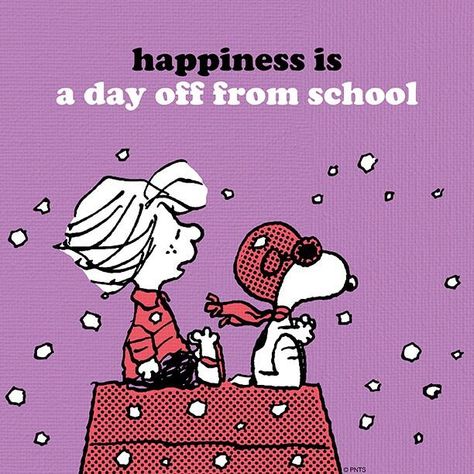 Twitter Snoopy School, Charles Shultz, Charlie Brown Quotes, Teaching Humor, No School, Peanuts Cartoon, Flying Ace, Snoopy Quotes, Snoopy Pictures