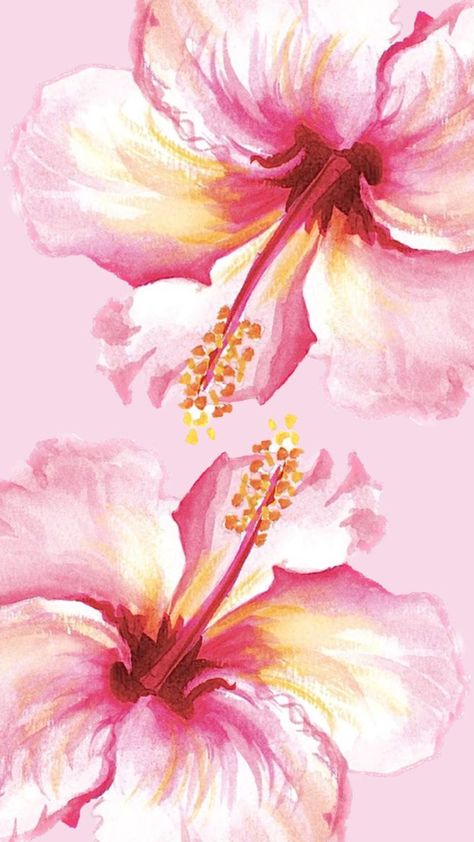 Wallpaper Bunga Iphone, Pink Macbook, Wallpaper Macbook, Wallpaper Estetika, Cute Summer Wallpapers, Bow Wallpaper, Floral Wallpaper Iphone, Wallpaper Iphone Summer, Pink Hibiscus