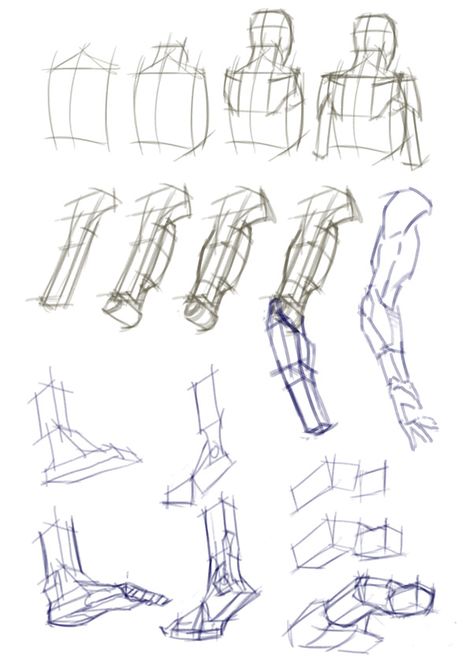 Drawing Program, Figure Drawing Tutorial, Human Body Drawing, Sketching Tips, Drawing Programs, Anatomy Tutorial, Anatomy Sketches, Human Drawing, Industrial Design Sketch