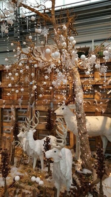 Country Christmas Window Display, Christmas Crafts Adults, Christmas Tree Homemade, Christmas Grotto Ideas, Crafts Outside, Floating Christmas Tree, Christmas Store Displays, Winter Window Display, Crafts Adults