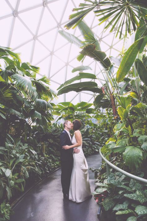 Elopement Wedding Ceremony, Inner Happiness, Jasmine Wedding, Lauren Ashley, Romantic Elopement, Botanical Gardens Wedding, Greenhouse Wedding, Restaurant Wedding, Creating Memories