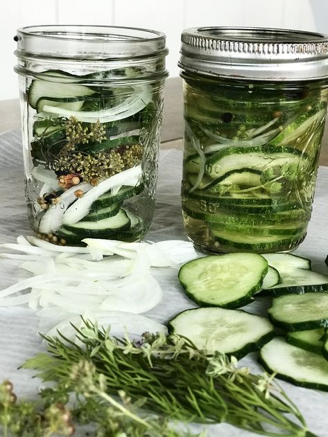 Easy Refrigerator Pickles, Pickling Cucumbers Recipe, Garden Cucumbers, Cucumber Kimchi, Spicy Pickles, Big Jar, Cucumbers And Onions, Small Vegetable Gardens, Pickling Spice