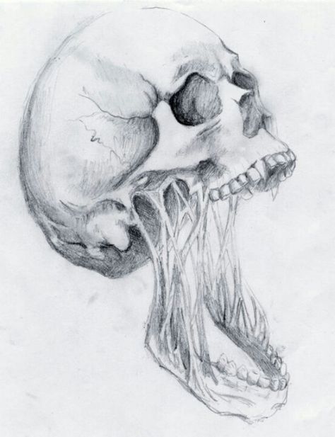 .. http://www.creativeboysclub.com/ Screaming Skull Drawing, Screaming Mouth Drawing, Mouth Reference, Screaming Skull, Skeleton Drawings, Skulls Drawing, Desenho Tattoo, Skull Drawing, Human Skull