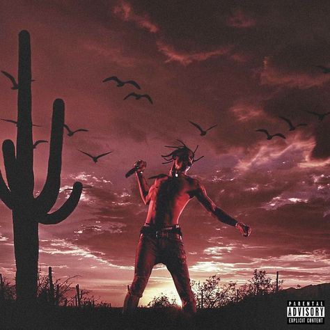 Travis Scott Birds, Rapper Pics, Bird Trap, Youtube Thumbnails, Album Artwork, Album Cover Art, Art Graphic Design, New Trailers, Wallpaper Phone