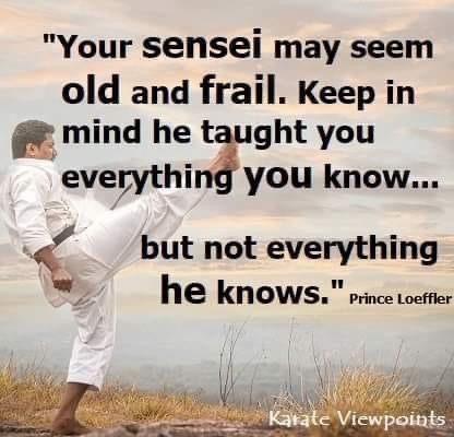 Isshinryu Karate, Karate Quotes, Health Coaching Quotes, Karate Kata, Karate Dojo, Martial Arts Quotes, Martial Arts Instructor, Powerful Motivational Quotes, Journey Quotes