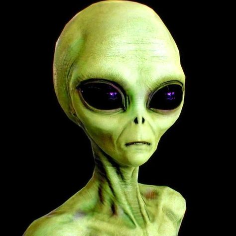 They are here. . They are here to get you. . We are not alone. Aliens Aesthetic, Realistic Alien, Alien Pictures, Ufos Are Real, Alien Photos, Ufo Art, Alien Artwork, Alien Encounters, Alien Drawings