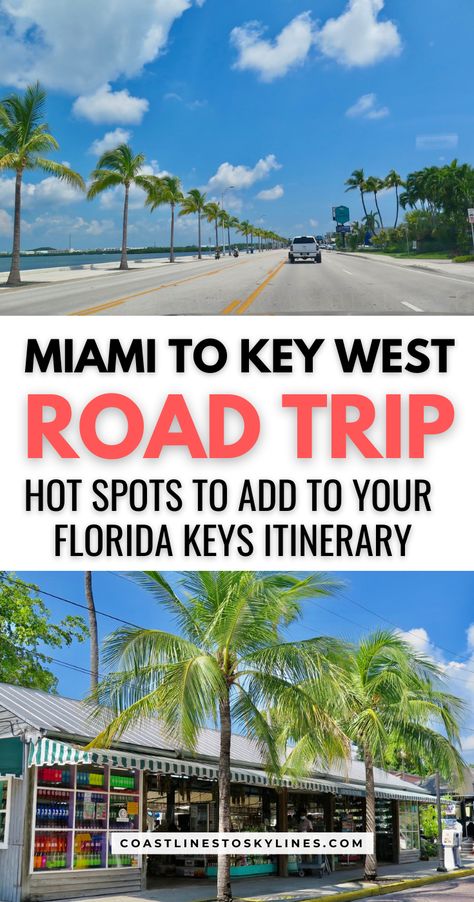 Our Miami to Key West road trip bucket list is packed with places to visit on your road trip to the Florida Keys. Key West Road Trip, West Road Trip, Key West Florida Vacation, Keys Florida, Marathon Key, Florida Keys Road Trip, Summer Florida, Travel Key West, Islamorada Florida