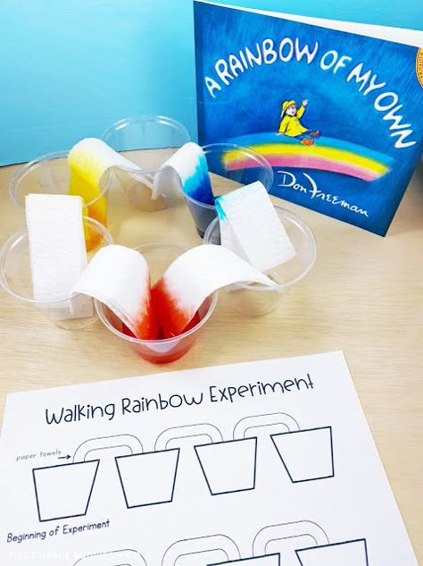 Steam Activities First Grade, Science Experiment First Grade, Stem For 2nd Grade, Energy Grade 1 Science, Stem Rainbow Activities, Science Projects 1st Grade, Rainbow Steam Activities, Science Experiments For First Grade, First Grade Experiments