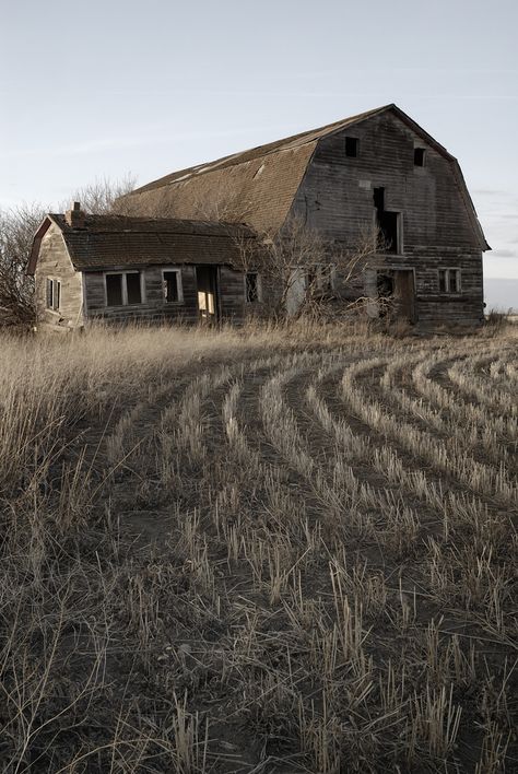 Old Barn near Fort Sask ! Old Barn Aesthetic, Old Barns Rustic, Old Barn Paintings, Old Barn House, Barn Aesthetic, Farmhouse Photography, Farmhouse Old, Abandoned Farm, Michael James