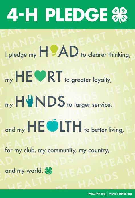 4h Pledge, 4-h Poster Ideas, 4 H Clover, 4 H Club, Camp Songs, Meeting Space, Washington State University, Levels Of Understanding, Clear Thinking