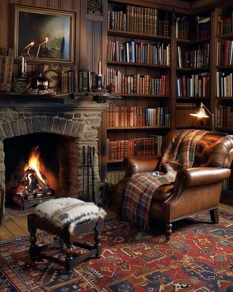 Cozy Library With Fireplace, Cosy Library Aesthetic, Cozy Home Library Ideas, Home Library Aesthetic, Reading Cozy, Colored Books, Library With Fireplace, Dark Academia Interior, Dream Home Library