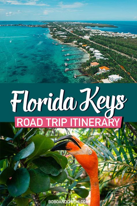 The Perfect 5 Day Florida Keys Road Trip Itinerary - Bobo and ChiChi Florida Keys Travel, Florida Keys Road Trip, Road Trip Tips, Travel Key West, Key West Vacations, Florida Travel Guide, Florida Adventures, All Pins, Road Trip Destinations