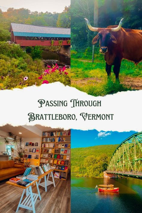 Four photo collage; a red covered bridge over a creek and pink flowers in the foreground, a large brown ox staring at the camera, a coffeeshop with a modern leather sofa and shelves of books, a small steam boat on the water going under a green bridge Vermont Travel, Brattleboro Vermont, Old Train Station, Old Train, River Art, Brewed Coffee, Covered Bridge, Over The River, Beach Reading