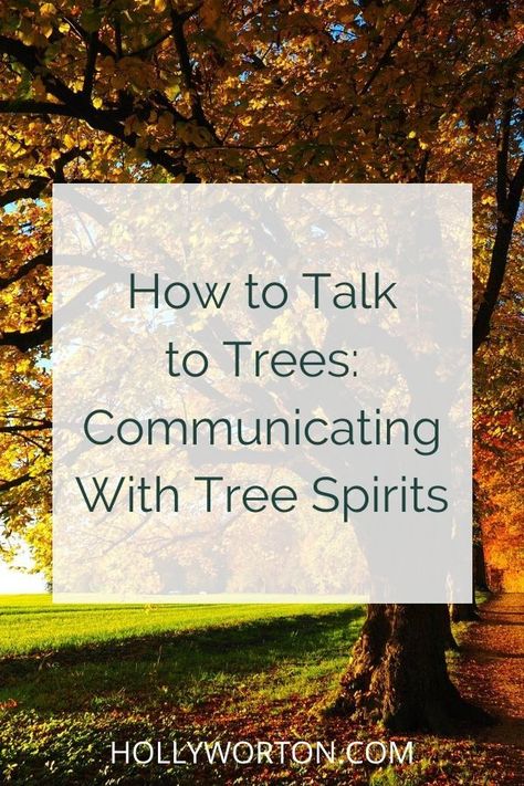 How To Talk To Trees, Talking To Trees, How To Talk To Spirits, How To Communicate With Spirits, Tree Spirit Art, Nature Spirit Art, Land Spirits, Talk To Trees, Plant Communication