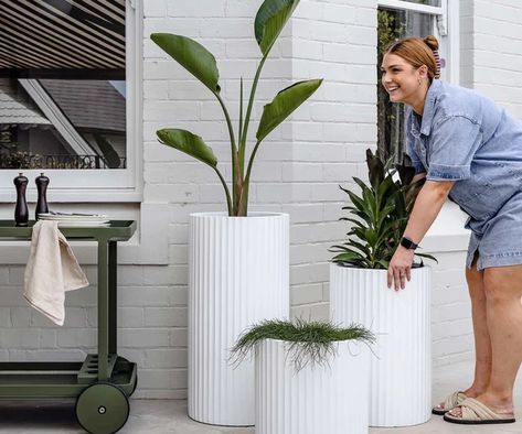 Pot Clusters Outdoor, White Pots For Plants Outdoor, Verandah Styling, White Rocks Landscaping Ideas, Pot Cluster, House Share, Large Garden Pots, Boho Kitchen Ideas, Outdoor Styling