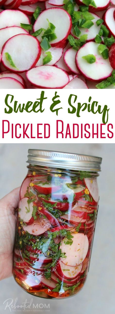 Pickled Vegetables Recipe, Quick Pickled, Radish Recipes, Pickled Radishes, Fermentation Recipes, Pickled Veggies, Sweet Pickles, Munnar, Red Onions