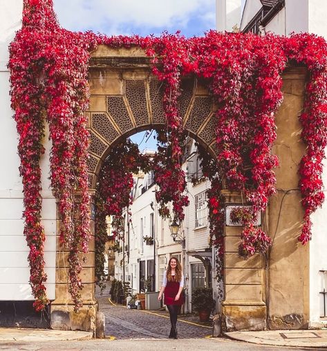 Autumn England, Gender Reveal Boy, Autumn Porch, London Cafe, Annual Leave, London Lifestyle, London Pictures, London Places, Things To Do In London