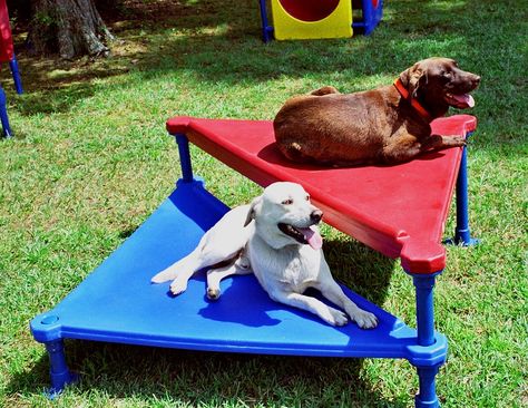 Puppy Daycare, Puppy Playground, Dog Play Area, Dog Backyard, Diy Chat, Dog Yard, Dog Playground, Pet Projects, Pet Boarding