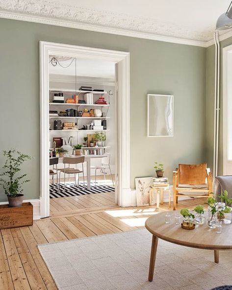 2018 New Neutral Pinterest Trend: Sage Green | Apartment Therapy Color Combo For House Interior, Sage Green Room Paint, Sage Color Wall, Sage Color Living Room Ideas, Sage Green Interior Walls, Women’s Office Paint Color, Neutral Green Wall Color, Sage Green Wall Color Living Room, Sage Office Walls