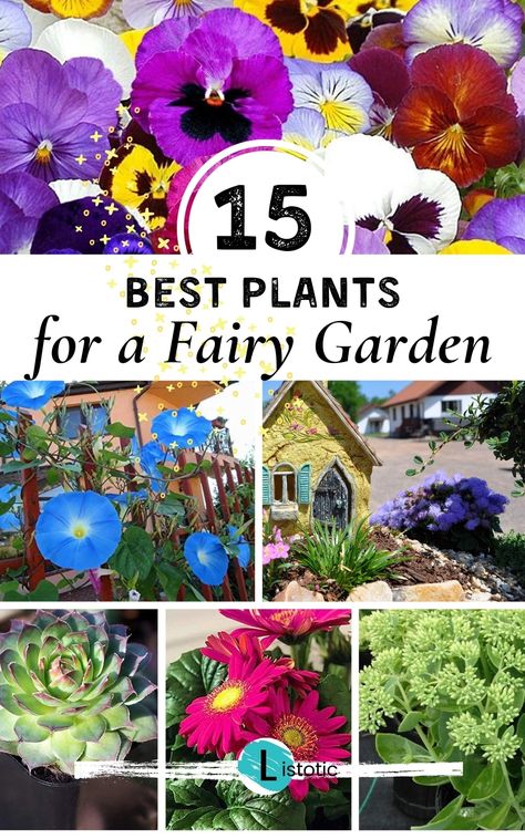 A helpful list of the best flowers and plants for your fairy garden. Get garden ideas to make your gnome garden look adorable or your enchanted fairy garden be magical. See all the best fairy garden ideas for what to plant in your miniature garden scape. Garden List, Enchanted Fairy Garden, Small Flowering Plants, Garden Ideas To Make, Fairy Garden Flowers, Fairy Garden Containers, Fairy Garden Pots, Fairy Garden Plants, Plant Tips