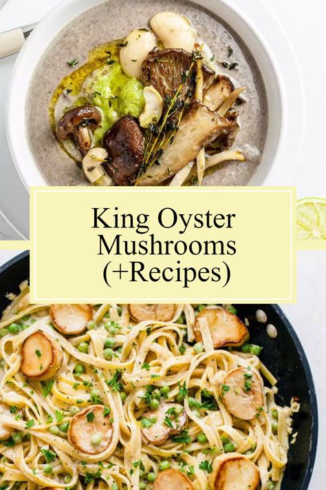 Vegan King Mushroom Recipes, King Oyster Mushroom Pasta, Black Pearl King Oyster Mushroom Recipes, King Oyster Mushrooms Recipes, Vegan King Oyster Mushroom Recipe, King Mushroom Recipe, Vegan Oyster Mushroom Recipes, King Trumpet Mushroom Recipe, Oyster Mushrooms Recipes