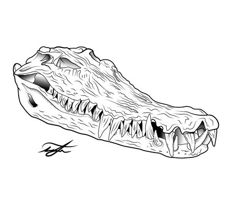 Crocodile Skull Drawing, Crocodile Skull Tattoo, Drawing Crocodile, Animal Skull Drawing, Crocodile Skull, Crocodile Tattoo, Crocodile Animal, Hunter Tattoo, Crocodile Hunter