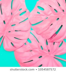 Minimal Surrealism, Tropical Palm Leaves, Turquoise Rose, Pink Tropical, Turquoise Background, Picture Collage Wall, Art Minimal, Teal And Pink, Tropical Palm