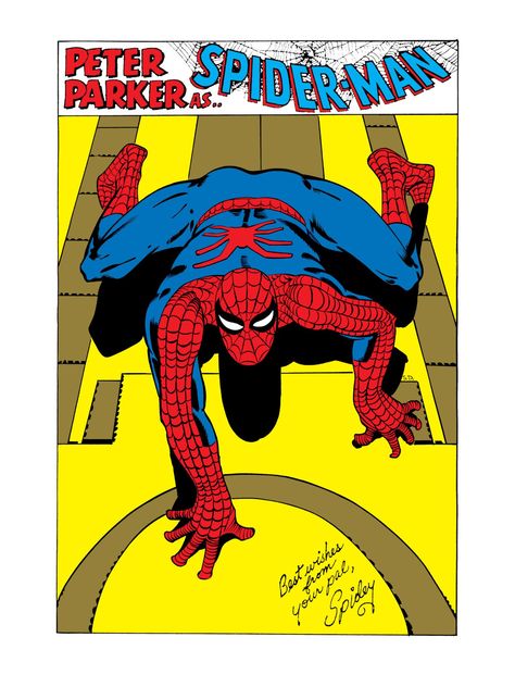 Marvel Comics Covers, Steve Ditko, Bruce Timm, Marvel Spiderman Art, Marvel Comic Universe, Amazing Spider Man, Jack Kirby, Marvel Entertainment, Spiderman Comic