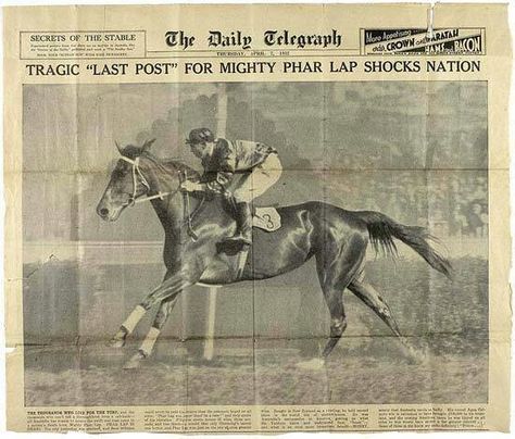 On this day in 1932 the world lost the great Phar Lap Horse History, Night Raid, 4 October, Famous Horses, Horse Pics, Thoroughbred Horse Racing, Race Horse, Horse Posters, Australian History