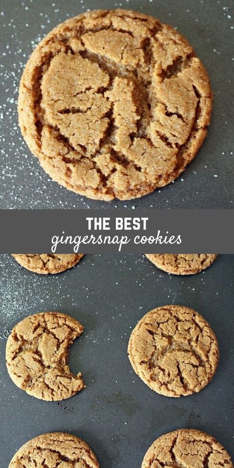 Gingersnaps Recipe, Gingersnap Cookies Chewy, Ginger Snap Cookies Recipe, Ginger Snaps Recipe, Chewy Ginger Cookies, Ginger Cookie Recipes, Gingersnap Cookies, Cozy Afternoon, Ginger Bread Cookies Recipe