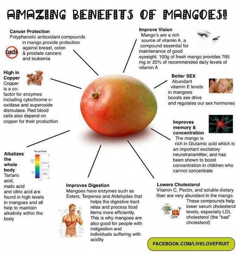 Mango Health Benefits, Mango Benefits, Calendula Benefits, Coconut Benefits, Sources Of Vitamin A, Stomach Ulcers, Nutritional Value, Health Info, Healthy Tips