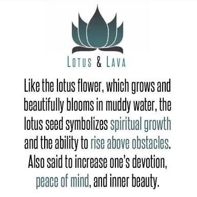 Lotus Flower Meaning, Tattoo Lotus, Flower Meanings, Lotus Flowers, With Meaning, Yoga Meditation, Energy Healing, Inner Peace, Lotus Flower