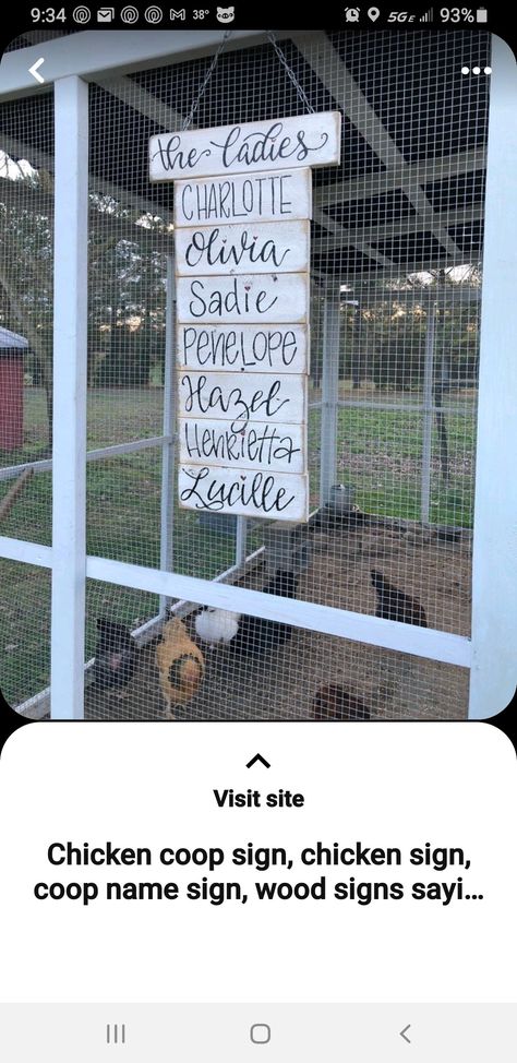 Chickens Backyard Breeds, Chicken Coop Signs, Backyard Chicken Farming, Chicken Signs, Wood Signs Sayings, Farm Signs, Lake Cottage, Chicken House, Chicken Farm