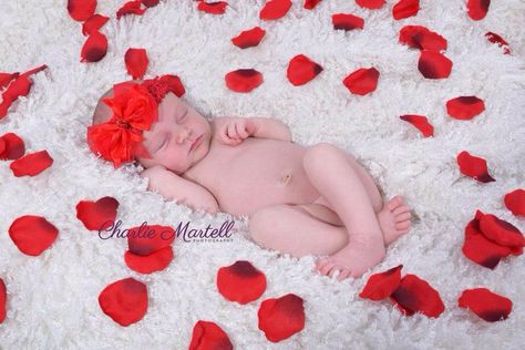 Beautiful newborn baby Rose.  12 days old baby princess with rose petals. Newborn photography. Newborn Valentine Pictures, Newborn Valentines, Valentines Pictures, Baby Rose, Valentine Picture, Baby Shoot, Valentines Day Baby, Photoshoot Idea, Newborn Shoot