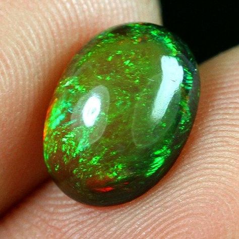 Colorful Fire, Beautiful Ethiopian, Green Fire, Pretty Rocks, Black Fire, Dragon Egg, Beautiful Rocks, Green Opal, Mineral Stone