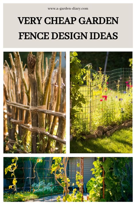 Explore budget-friendly garden fence designs to enhance your outdoor area without breaking the bank. From traditional to modern styles, discover 10 affordable and creative ways to elevate your garden space. Create a personalized and charming ambiance with these low-cost ideas to revamp your outdoor oasis. Free Fence Ideas, Cheap Fence Ideas Budget, Fencing Around Garden, Easy Garden Fence, Garden Fence Diy, Diy Fence Ideas Cheap, Garden Fence Design, Cheap Garden Fencing, Rustic Garden Fence