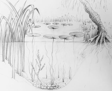 Simple Pond Drawing, How To Draw A Pond, Lilly Pad Drawings, Shallow Drawing, Pond Sketch, Pond Tattoo, Jacks Tattoo, Small Pond Ideas, Pond Illustration