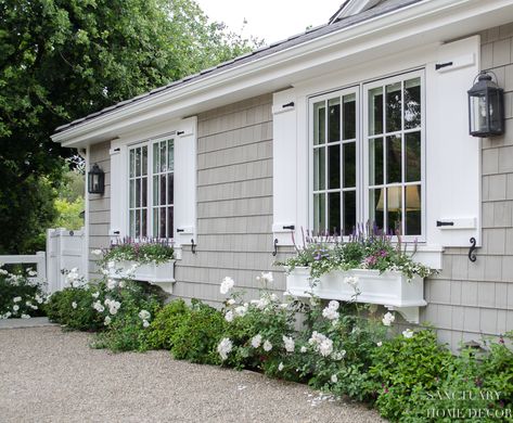 Cape Cod Exterior, Sanctuary Home Decor, Window Shutters Exterior, Sanctuary Home, Shutter Colors, White Shutters, House Shutters, Cottage Exterior, Cape Cod House