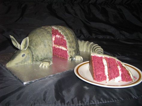 armadillo cake- Ive always wanted to eat this while watching 'Steel Magnolias' :) Armadillo Cake, Best Red Velvet Cake, 2026 Wedding, Southern Nights, Fab Cakes, Magnolia Wedding, Purple Wedding Cakes, Steel Magnolias, Cake Central