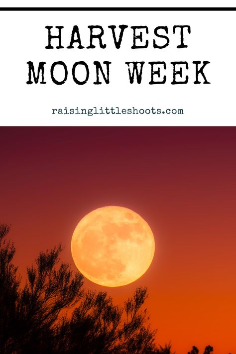 Harvest Moon Craft, Harvest Moon Activities, Harvest Moon Activities For Kids, Night Time Nature, September Magick, 1st Of October, Moon Unit, Moon Activities, Nature Journals