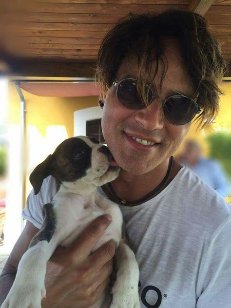 Gabriel Garko, In The Flesh, Boston Terrier, Actors, Dogs, Animals