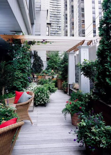 12 Balcony and Rooftop Garden Ideas for Creating a Serene Space Rooftop Garden Ideas, Rooftop Decor, Tall Ornamental Grasses, Shrubs For Privacy, Rooftop Dining, Green Terrace, Pergola Garden, Porch Garden, Container Gardening Vegetables