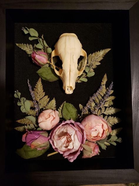 Framed Skull Decor, Animal Bone Display, Bone Shadow Box, Decorated Animal Skulls, Bone Display, Taxidermy Dog, Skull Mount Ideas, Skull Inspiration, Gothic Collage