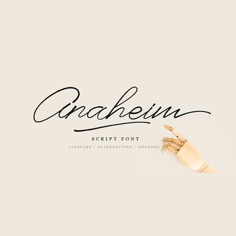 Modern Script Font Free, Best Adobe Script Fonts, Adobe Script Fonts, Google Script Fonts, Elegant Free Fonts, Handwritten Fonts Free, Script Fonts Free, Kitchen Branding, Cursive Fonts Handwritten