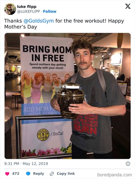 Gym Memes, Gym Humor, Free Workouts, Gym Rat, Happy Mothers Day, Book Recommendations, Happy Mothers, Health Food, Photography Tips