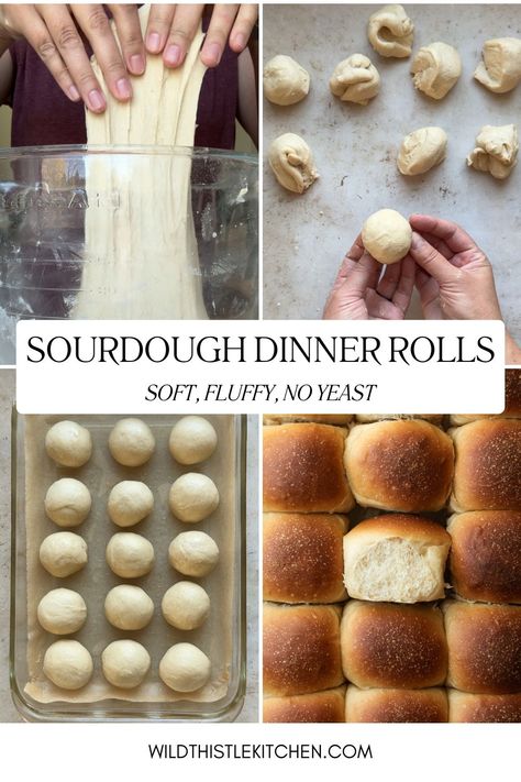 If you are looking for a true Sourdough Dinner Roll that uses no commercial yeast but is just as soft and fluffy as the rest of them, you are in the right place! These soft, buttery, pull-apart rolls are naturally-leavened and long-fermented using active, bubbly sourdough starter. Make a double batch because these will disappear so fast! #sourdoughdinnerrollsnoyeast #overnightsourdoughdinnerrolls #sourdoughdinnerrolls #sourdoughpullapartrolls Sourdough Rolls From Discard No Yeast, Sourdough Discard Dinner Rolls No Yeast, Sourdough Starter Pictures, Sourdough Active Recipes, Sourdough Rolls No Yeast, Sourdough Dinner Rolls No Yeast, Sourdough Dinner Rolls Quick, Make Ahead Sourdough Rolls, Sourdough Pull Apart Rolls