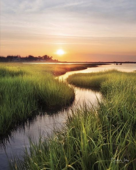 Exploring the marshes of Cape Cod! 🏆 Photo of the day by @bettywileyphoto🏆 Tag us or use #newenglandtraveljournal to share your photos #explorenewengland #mynewengland #ignewengland #travel #newengland #ontheroad #newenglandlife #newenglandliving #photooftheday Salt Marsh Photography, Marsh Landscape Photography, Coastal Landscape Photography, Marshes Landscape, Painting Reference Photos Nature, Marsh Pictures, Marsh Photos, Marsh Land, Marsh Photography