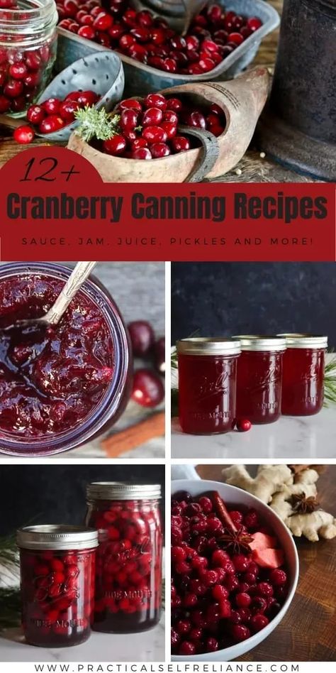 12+ Cranberry Canning Recipes - If you're looking for canning cranberry recipes, you'll love this collection of over 12 recipes for how to can cranberries. From canning cranberry sauce to canning cranberry juice recipes to canning whole cranberries! cranberry sauce for canning | canning fresh cranberries | fresh cranberry recipes for canning Canning Cranberry Recipes, Canning Cranberry Orange Relish, How To Can Cranberries, Cranberry Preserves Recipe, Cranberry Chutney Canning Recipe, Canning Cranberries Recipes, Canning Cranberry Sauce Recipes, Home Canned Cranberry Sauce, Cranberry Orange Jam Canning