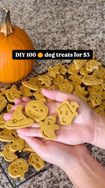 Bella Vassalli on Instagram: "👀 Don’t forget about your pups on Halloween! Save this perfect Halloween treat! 🎃👻  Recipe:  2.5 Cups Oat Flour  3/4 Cup Peanut Butter (Xylitol free)  1/4 Cup Pumpkin Purée  1 Egg  1 Cup of Water  Bake at 350 for 25 minutes 🤤 Save this recipe for later, and let us know what you think in the comments!  Don’t forget to follow us for weekly dog treat recipes 🧑‍🍳  . . . . . . . . . #halloweendog #halloweendogtreats #diydogtreats #dogtreatrecipe #dogmomlife #dogmomday #halloweencookies" Halloween Dog Treats, Pet Lifestyle, Pet Snacks, Doggie Treats, Diy Dog Treats, Puppy Treats, Cup Of Water, Treat Recipes, Dog Cookies