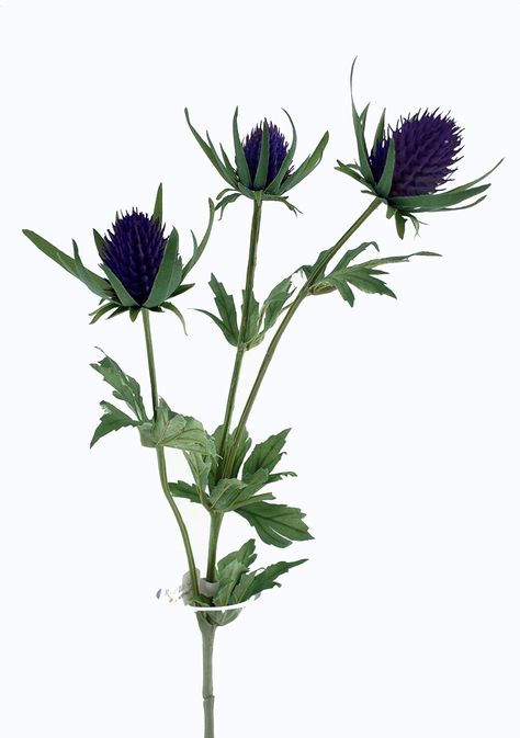 Sea Holly, Thistle Flower, Milk Thistle, Purple Grey, Art Direction, Bridal Bouquet, Artificial Flowers, Home Kitchen, Google Images